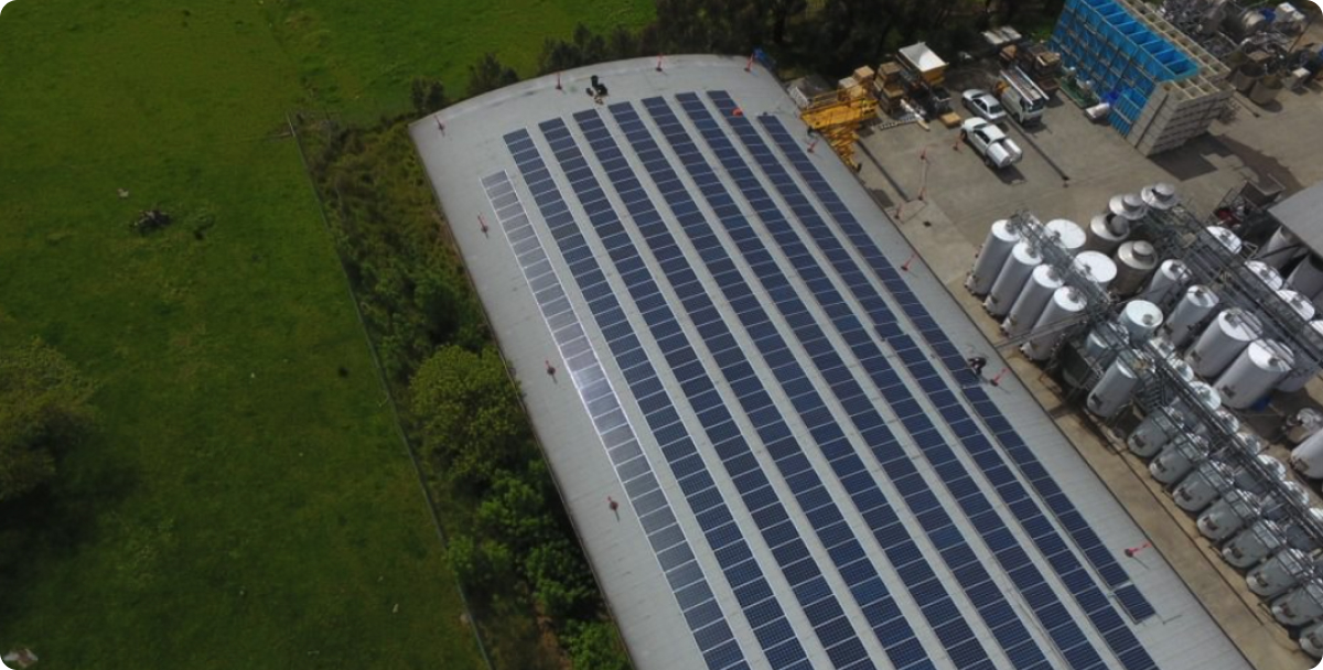 Solar panels on roof with green space next to it 